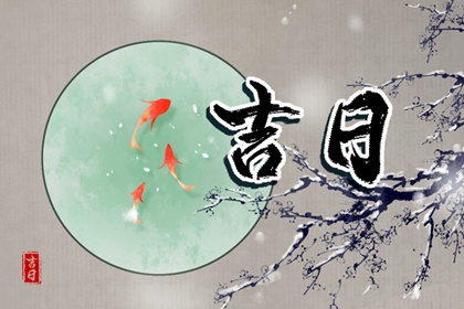全家生肖都要看吗